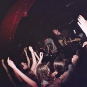 Dog Is Dead - List pictures