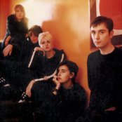 Elastica - List pictures