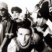 Jimmy's Chicken Shack - List pictures