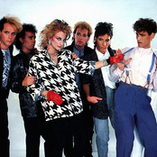 Animotion - List pictures