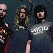 Adena - List pictures