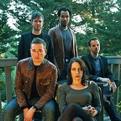 Loquat - List pictures