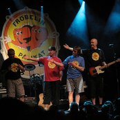 Fröbelin Palikat - List pictures