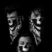 Cobra Skulls - List pictures