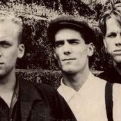 Camouflage - List pictures