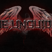 The Unguided - List pictures