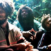 Congos - List pictures