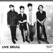 Live Skull - List pictures