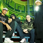 Knuckledust - List pictures