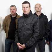 The Farm Inc. - List pictures