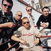 Apollo 440 - List pictures