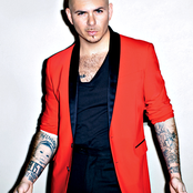 Pitbull - List pictures