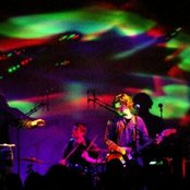 Spids Nøgenhat - List pictures