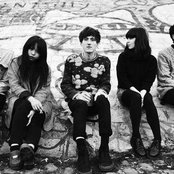 The History Of Apple Pie - List pictures