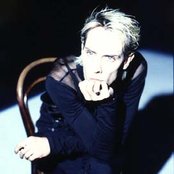 Peter Murphy - List pictures