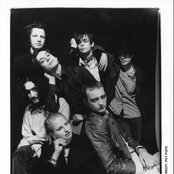 Jack - List pictures