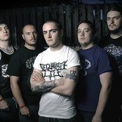 Ingested - List pictures