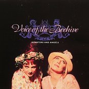 Voice Of The Beehive - List pictures