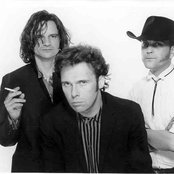 Fatima Mansions - List pictures