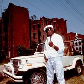 Kool Moe Dee - List pictures