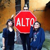 Eruca Sativa - List pictures