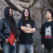 Anatomia - List pictures