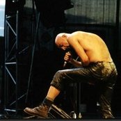 Megaherz - List pictures