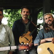 Mighty Oaks - List pictures