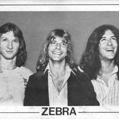 Zebra - List pictures