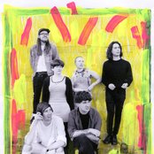 Joanna Gruesome - List pictures