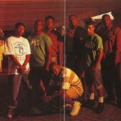 D.i.t.c. - List pictures