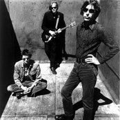 22-pistepirkko - List pictures