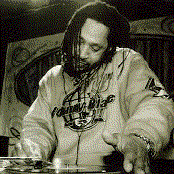 Dj Kool - List pictures