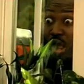 Project Pat - List pictures