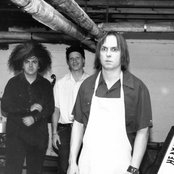 The Melvins - List pictures