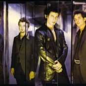 Virgos Merlot - List pictures