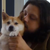 The Dear Hunter - List pictures