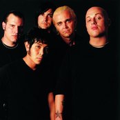 Stavesacre - List pictures