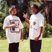 B.g. Knocc Out - List pictures