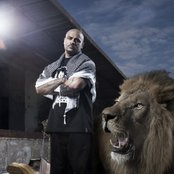 Massiv - List pictures