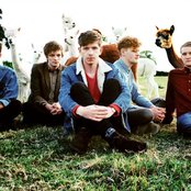 Dog Is Dead - List pictures