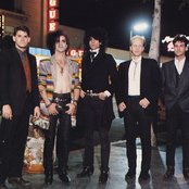 Wall Of Voodoo - List pictures