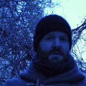 Woodpigeon - List pictures