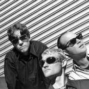 Medeski, Martin & Wood - List pictures