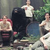 British Sea Power - List pictures