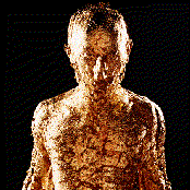 Miles Robert - List pictures