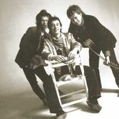 Pukka Orchestra - List pictures