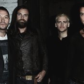 Bush - List pictures