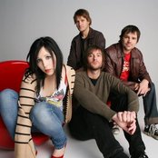 Little Birdy - List pictures