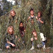 Masters Hammer - List pictures